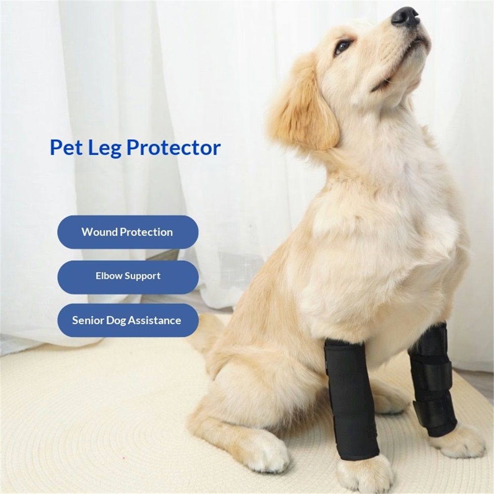 1 pair Dog Canine Front Leg Brace Paw Compression Wraps with Protects Wounds Brace Heals and Prevents Injuries and Sprains Helps with Loss of Stability Caused by Arthritis (M)