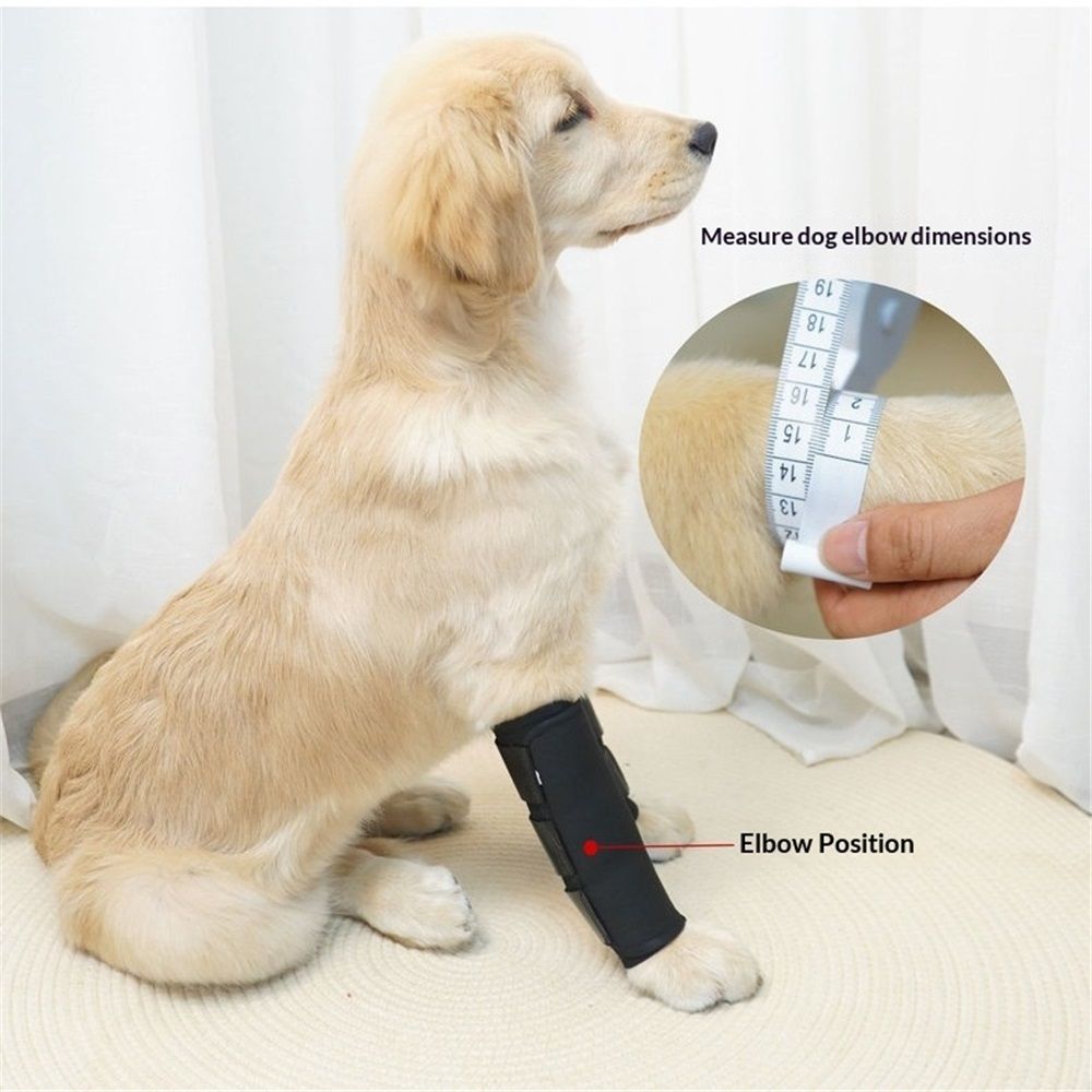 1 pair Dog Canine Front Leg Brace Paw Compression Wraps with Protects Wounds Brace Heals and Prevents Injuries and Sprains Helps with Loss of Stability Caused by Arthritis (M)