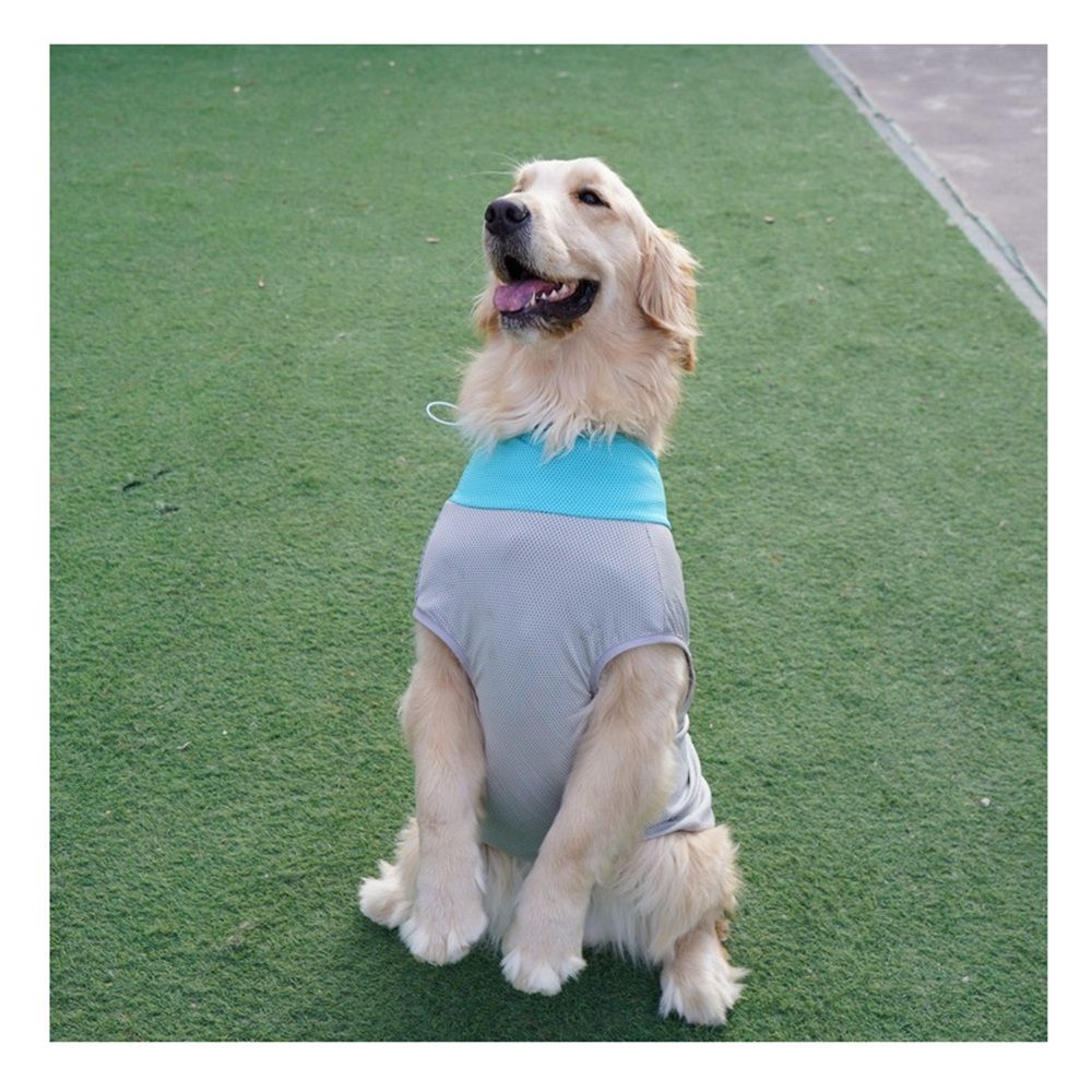Dog Cooling Vest, Sun Protection Puppy T-Shirts, Quick Dry Dog Summer Clothes for Medium Dogs Boy Girl L