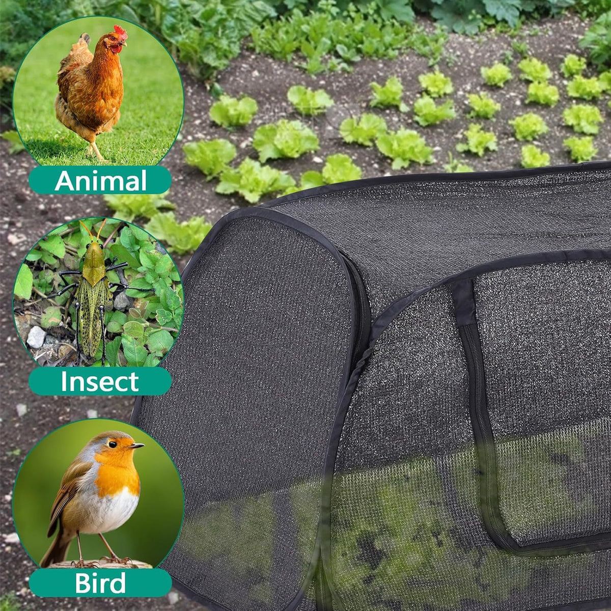 Garden Cover for Raised Beds  Pop-Up Mesh Plant Garden Bed Cover for Vegetables, Seedlings, Fruits, Frost Protection, Outdoor Gardening Bird and Animal Barrier Greenhouse Cover (Black)