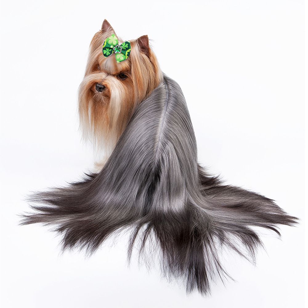 50pcs Dog Hair Bows Bands for Small Medium Xmas Holiday Puppies Cats Kittens Rabbits Topknot Grooming Costumes Hair Style random