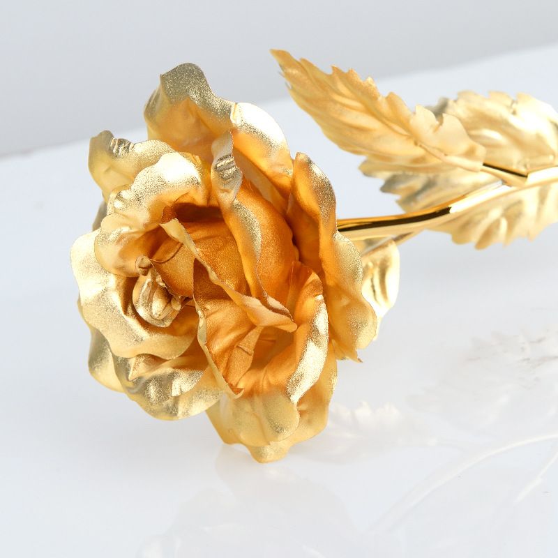 Gold Dipped Natural Golden Rose with Gift Box Men & Women for Best Valentine Gift  - 9 inches Approx