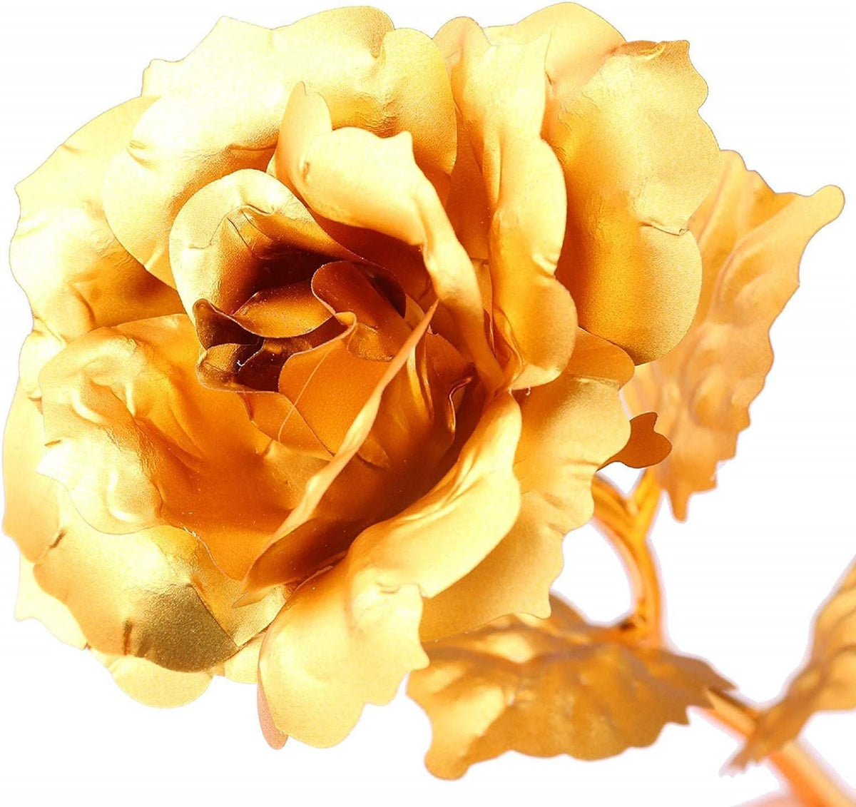 Gold Dipped Natural Golden Rose with Gift Box Men & Women for Best Valentine Gift  - 9 inches Approx