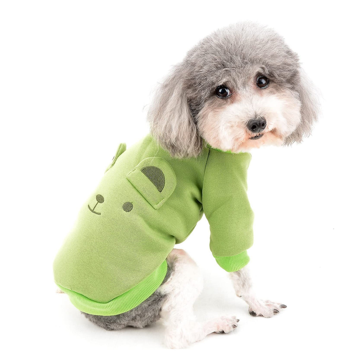 Cute Dog Clothes for Small Dogs Winter Sweater Warm Fleece Soft Pet Sweatshirt Print Cat Clothe, Green, Small