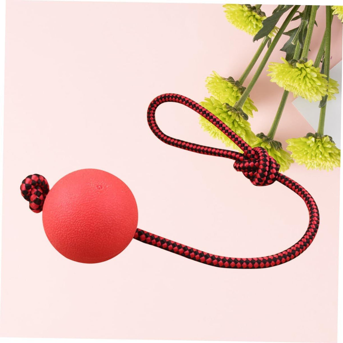 2pcs Natural Rubber Dog Toy Ball On a Rope Reward for Pet Training/Playing/Chewing Solid Tooth Cleaning Toys