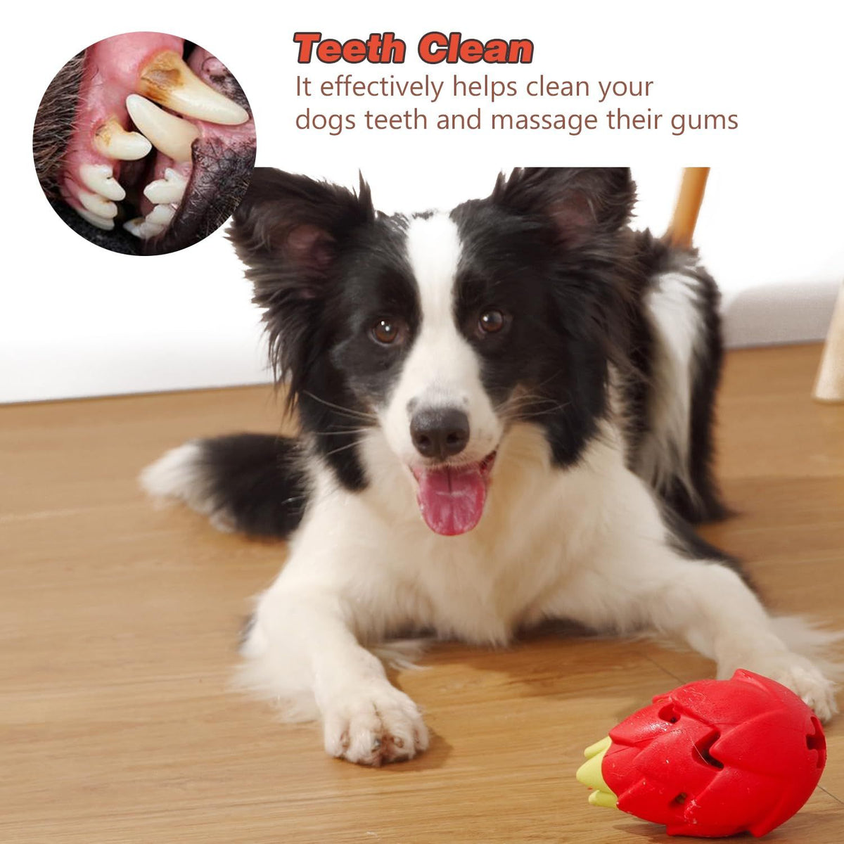 Squeaky Dog Chew Toy for Aggressive Chewers, Durable Rubber Dragon Fruit Chew Toy, Teeth Cleaning Toy for Large Medium Small Dogs
