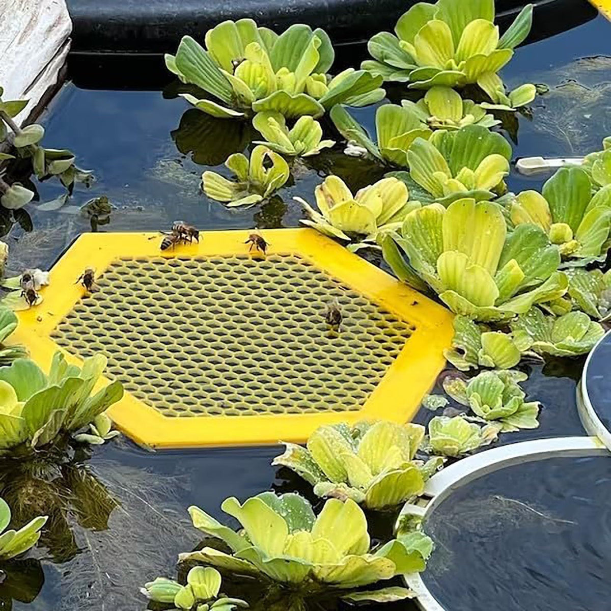 Floating Bee Island,Printed Floating Bee Island,Bee Cups for The Garden,Floating Bee Island for Drinking 2pcs