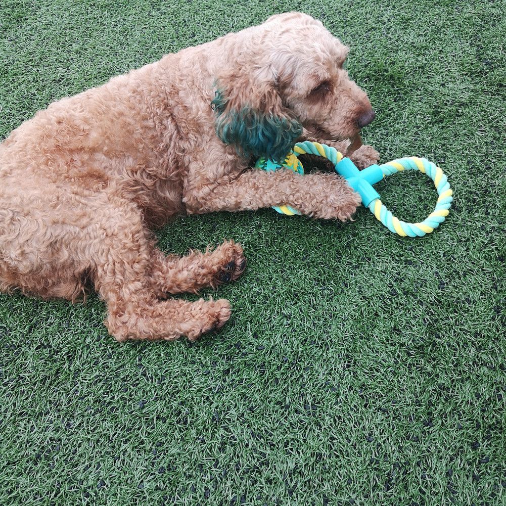 Interactive Dog Toys for Aggressive Chewers,Rope Toy for Dogs,Dog Toy Balls,Adjustable Food Dispensing Dog Toys to Keep Them Busy