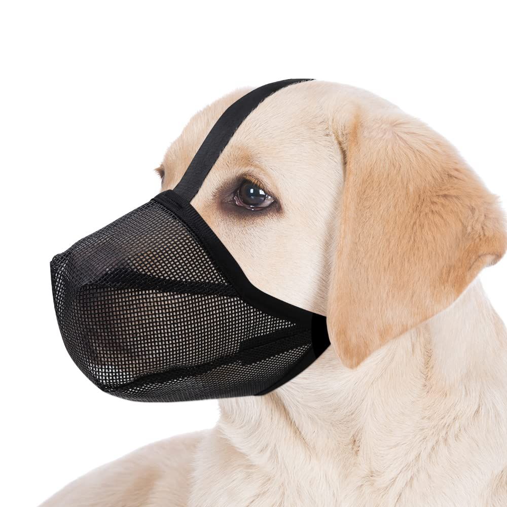 Dog Muzzle, Soft Mesh Covered Muzzles for Small, Medium, Large and  Dogs, Muzzle with Adjustable Straps, Prevent Barking (Black)