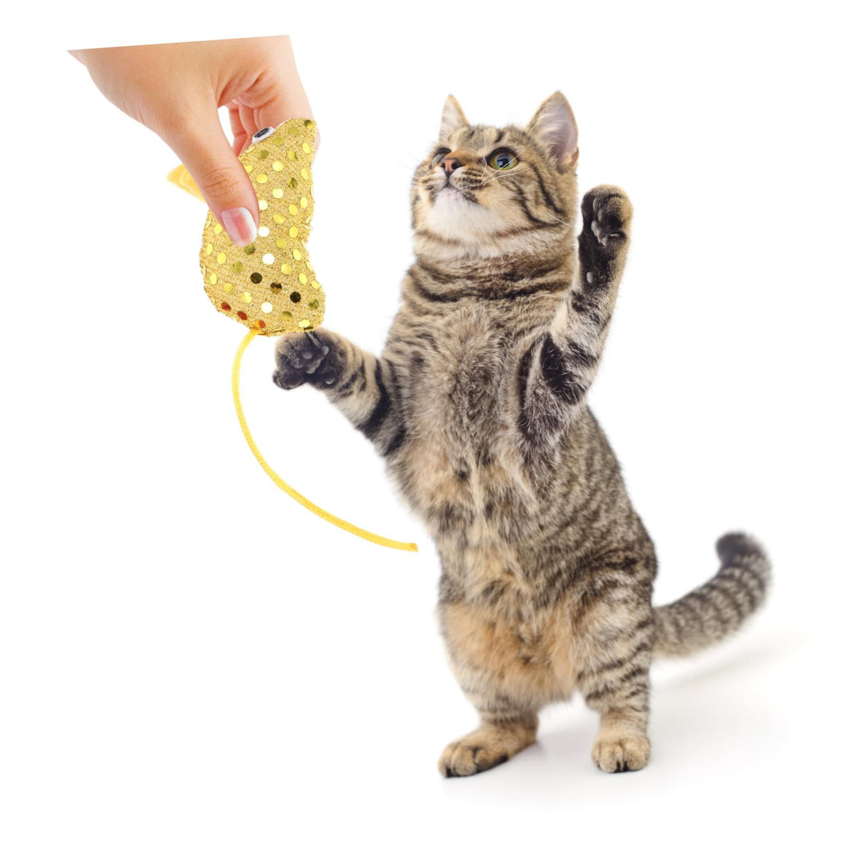 4pcs Sequin Cloth cat Toy Mouse pet cat mice Toys for Indoor Cats cat Mouse Toy Little Mouse cat Toy Kitten Taste Cartoon cat