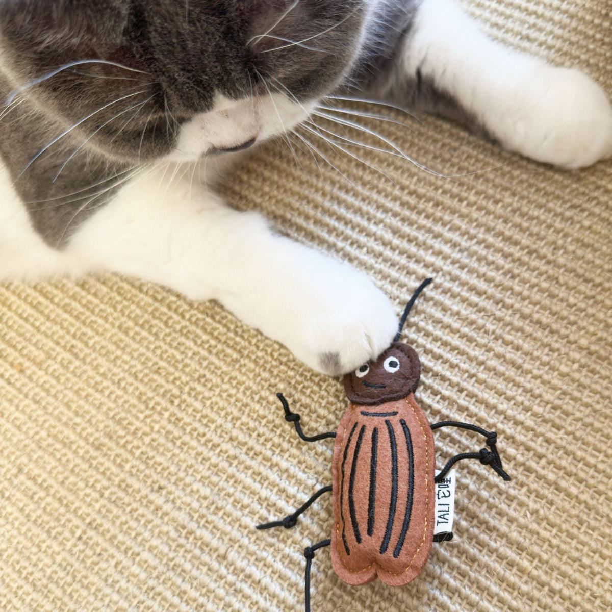 Strange Insect Series, Lovely Cat Nip Toys for Indoor Cats, Improves The Happiness of Cats and Kittens of All Breeds (Cockroach)