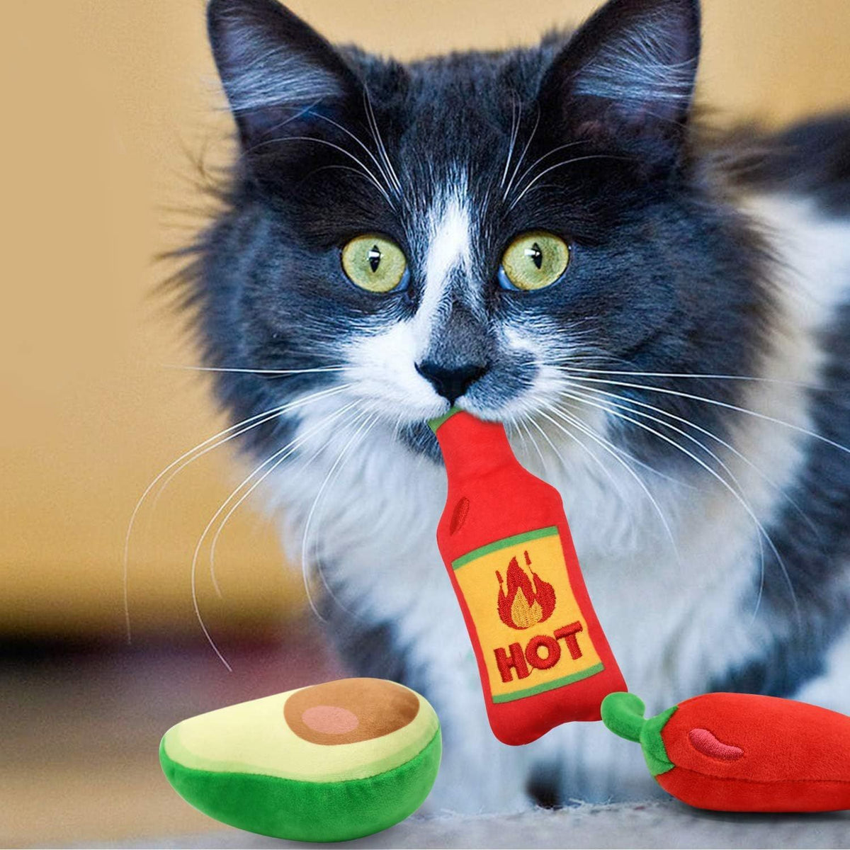 Toys for Indoor Cats  Cat Toys Dental Health Kitten Toys Cat Chew Toy Cat Toys for Cats Birthday Gift for Cat Lovers 6 Pack