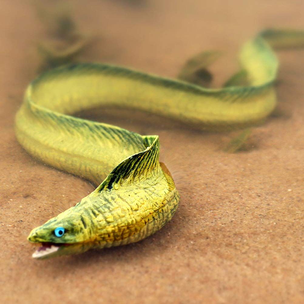 Animal Figures Realistic Moray EEL Plastic Early Educational Toys Cupcake Party Gift for Kids 3+ Year Old