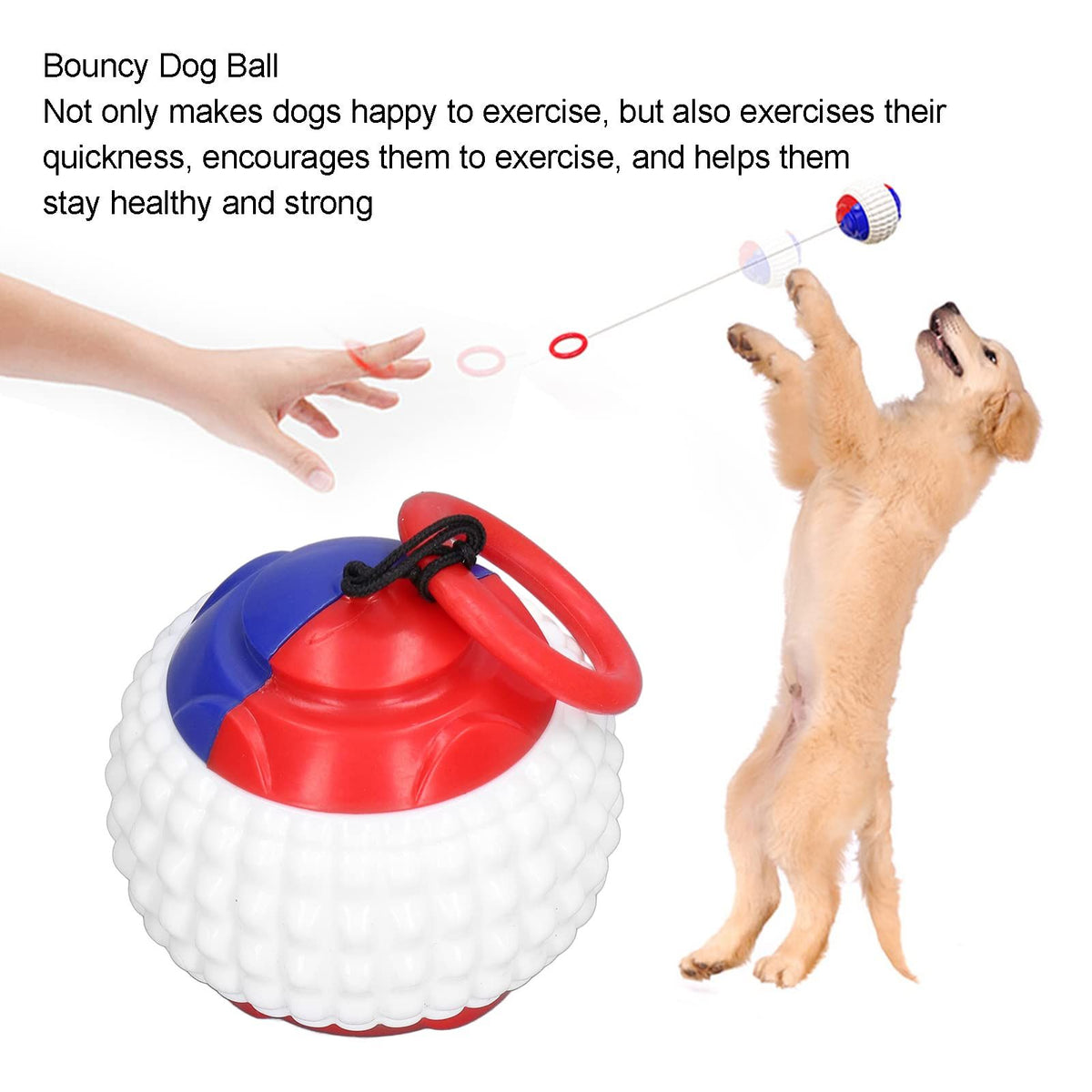 Interactive outdoor throwing of pet balls with retractable drawstrings, dog chewing training, tugboat toys, and dogs