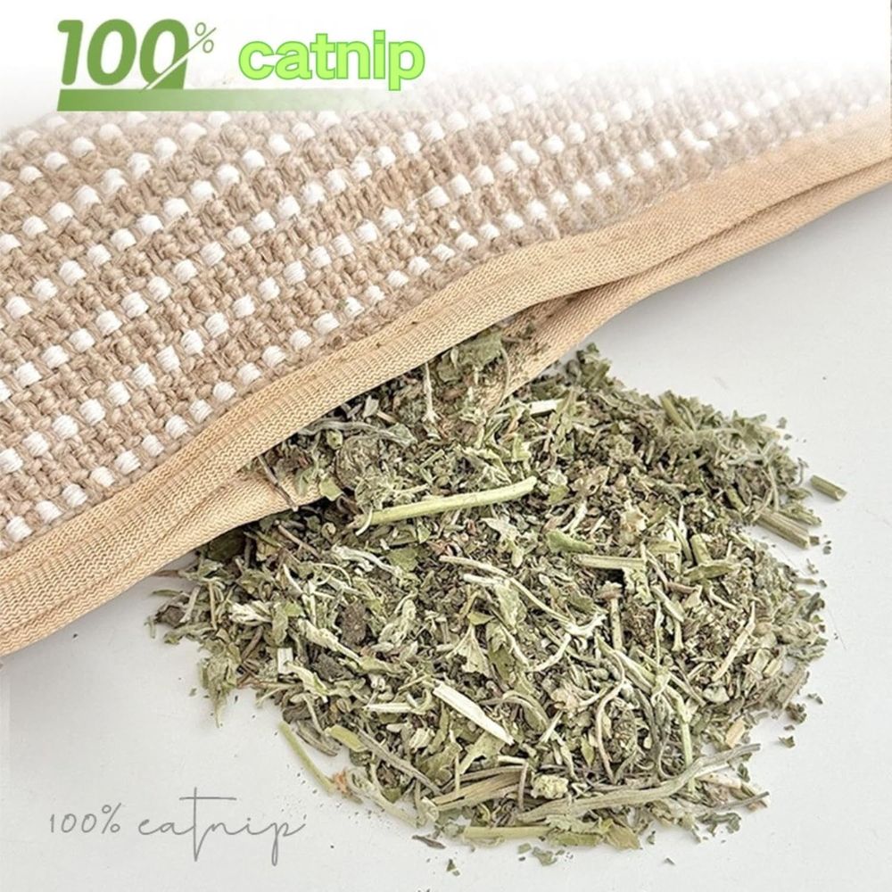 Pillow, 13.4In Interactive Chew Toy with Sisal Scratching Pad, Bite-Resistant Teething Toy for Indoor Cats & Anxiety Relief