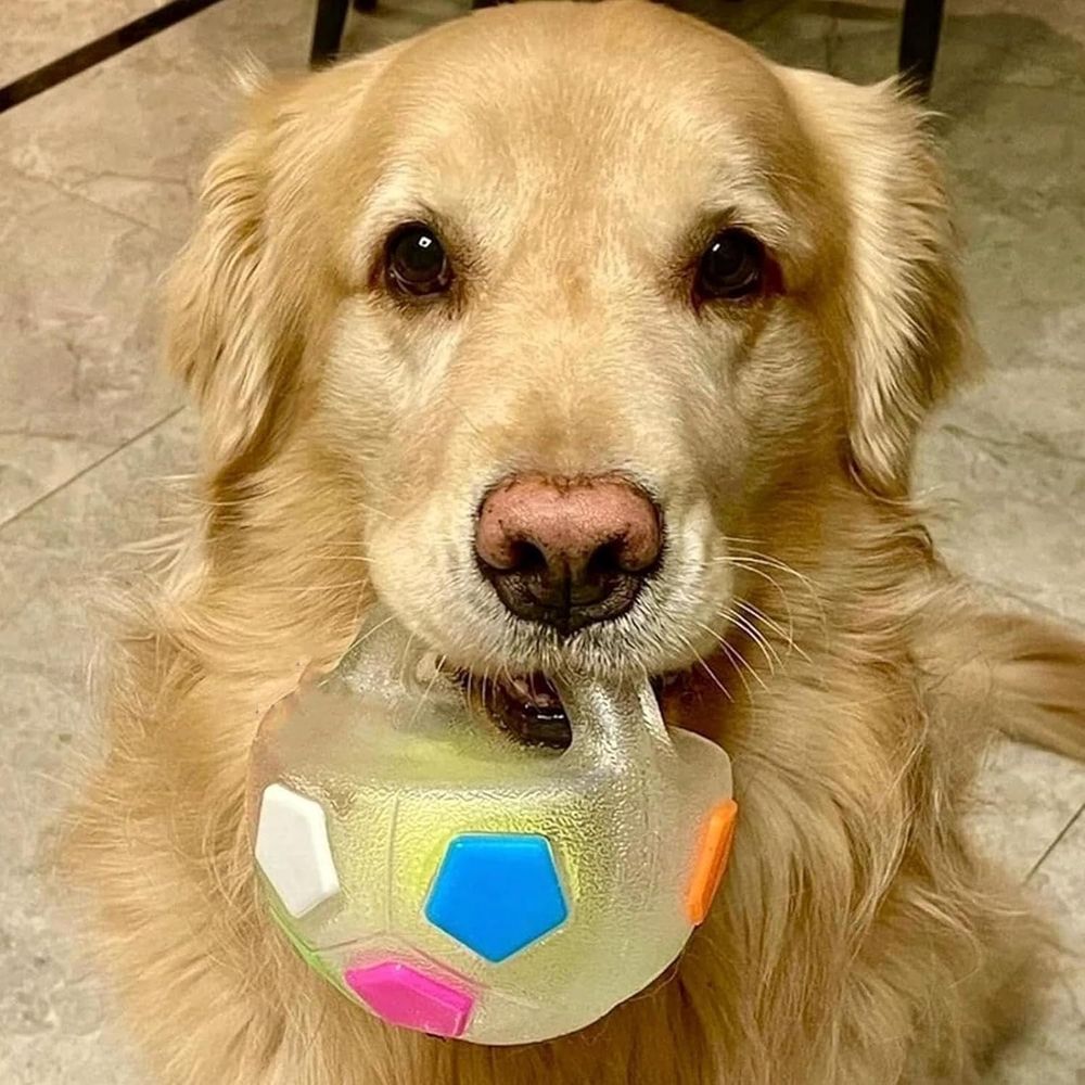 Pet Dog Football Shape Toy, Rubber, Squeaky, Suitable, Interactive Pet Toy, for Medium Large Breeds, Training & Outdoor Games