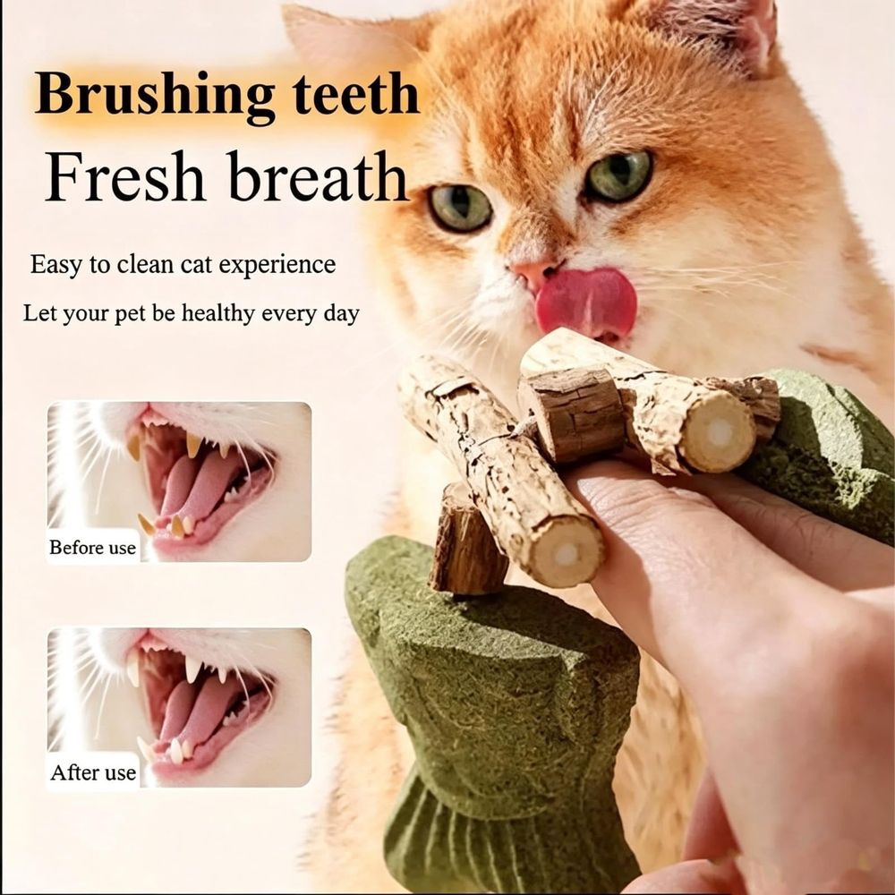 Catnip and Silvervine Chew, Natural Silvervine Fish Bone Dental Chew, Teeth Cleaning & Boredom Relief Toy for Indoor Cats