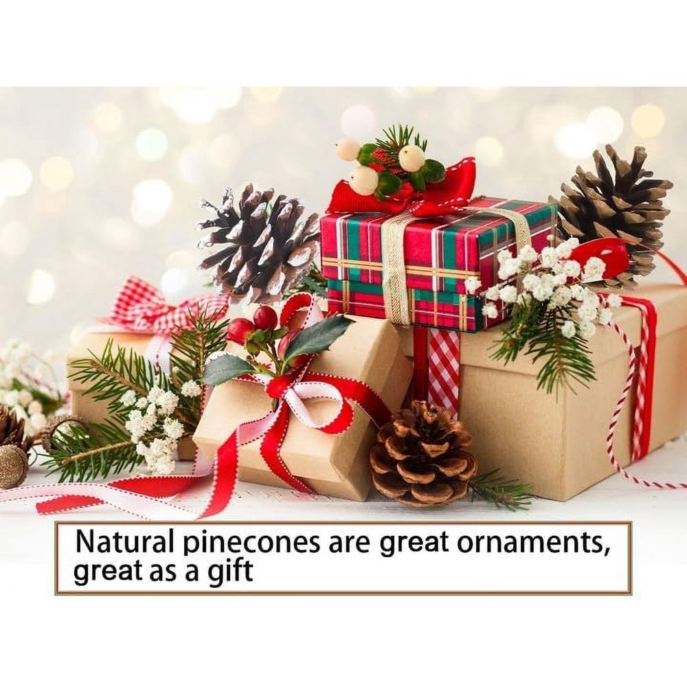 20PCS Christmas Pine Cones Decorations Picks - Snow Pine Cone for Xmas Tree Garland Wreath Ornaments Pinecones Decorating Winter Holidays Home