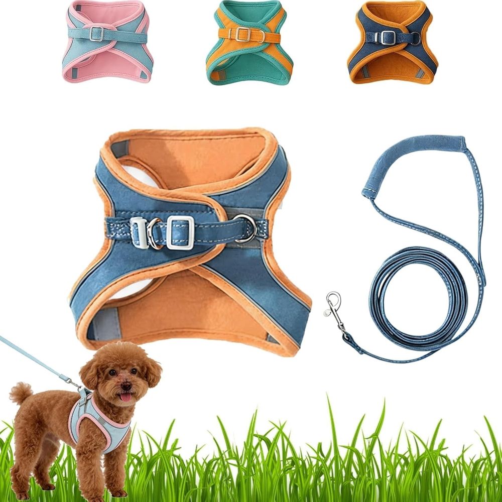 Escape-Proof Step-in Cat Harness and leash rabbit Set. Breathable Soft Adjustable Vest with Reflective Strips for Cats XL Blue Orange