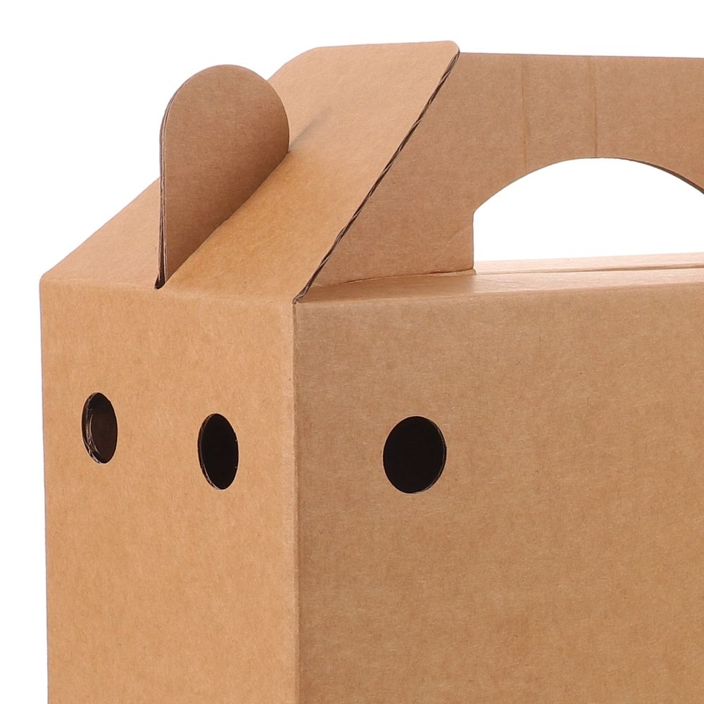 6Pcs Bird Shipping Cardboard Box with Handle Lightweight Breathable Pet Transport Carrier