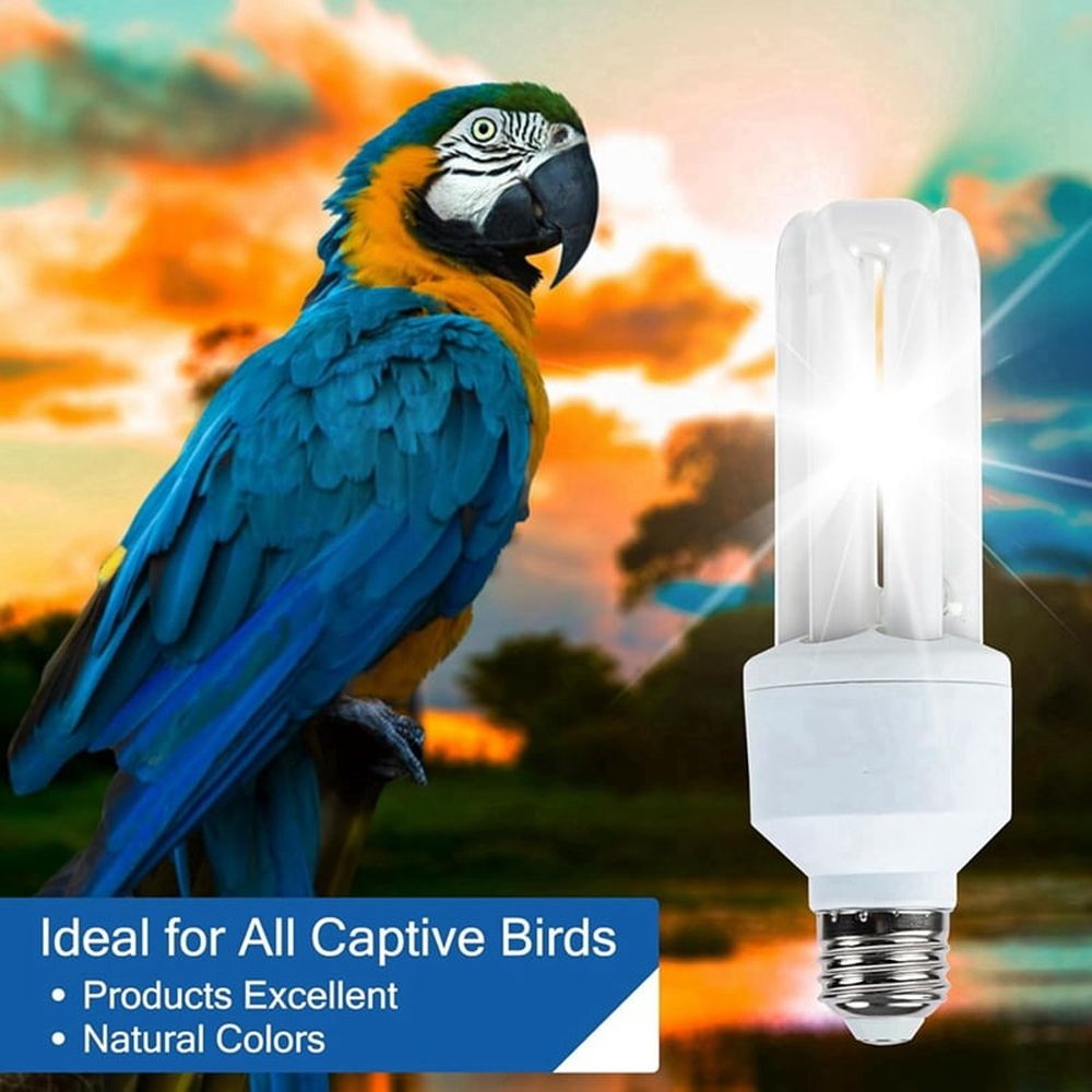Light Bulb for Birds 2.4 UVB 20W Compact Flourescent Lamp for All Kinds Captive Birds A