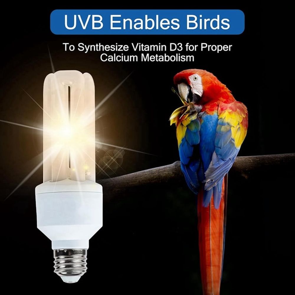 Light Bulb for Birds 2.4 UVB 20W Compact Flourescent Lamp for All Kinds Captive Birds A