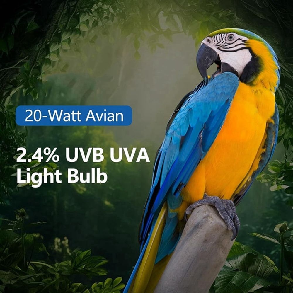 Light Bulb for Birds 2.4 UVB 20W Compact Flourescent Lamp for All Kinds Captive Birds A
