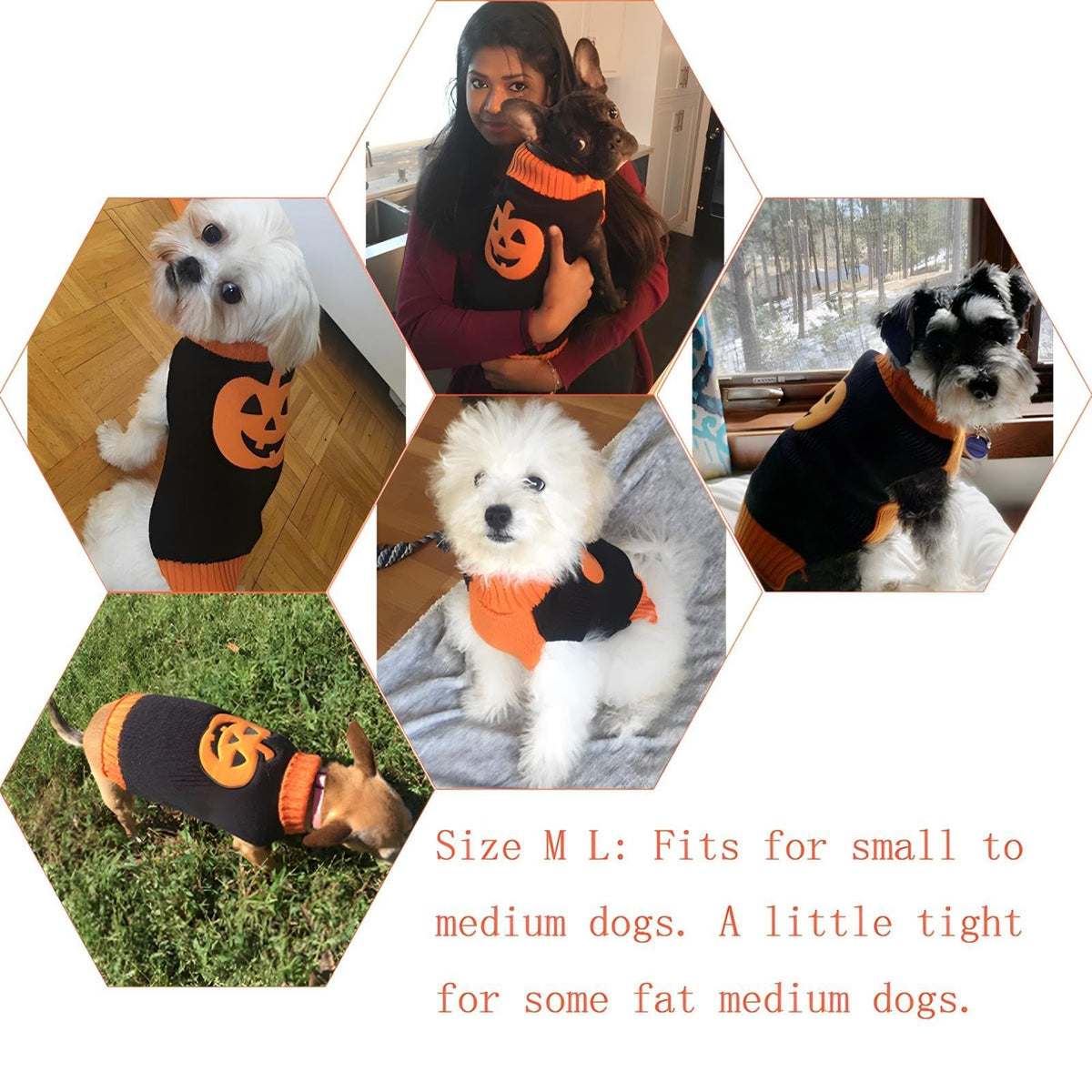 Dog Sweater Pumpkin Pet Sweaters Halloween Holiday Party for Cat and Puppy Small and medium-sized dog Teddy clothing(M)