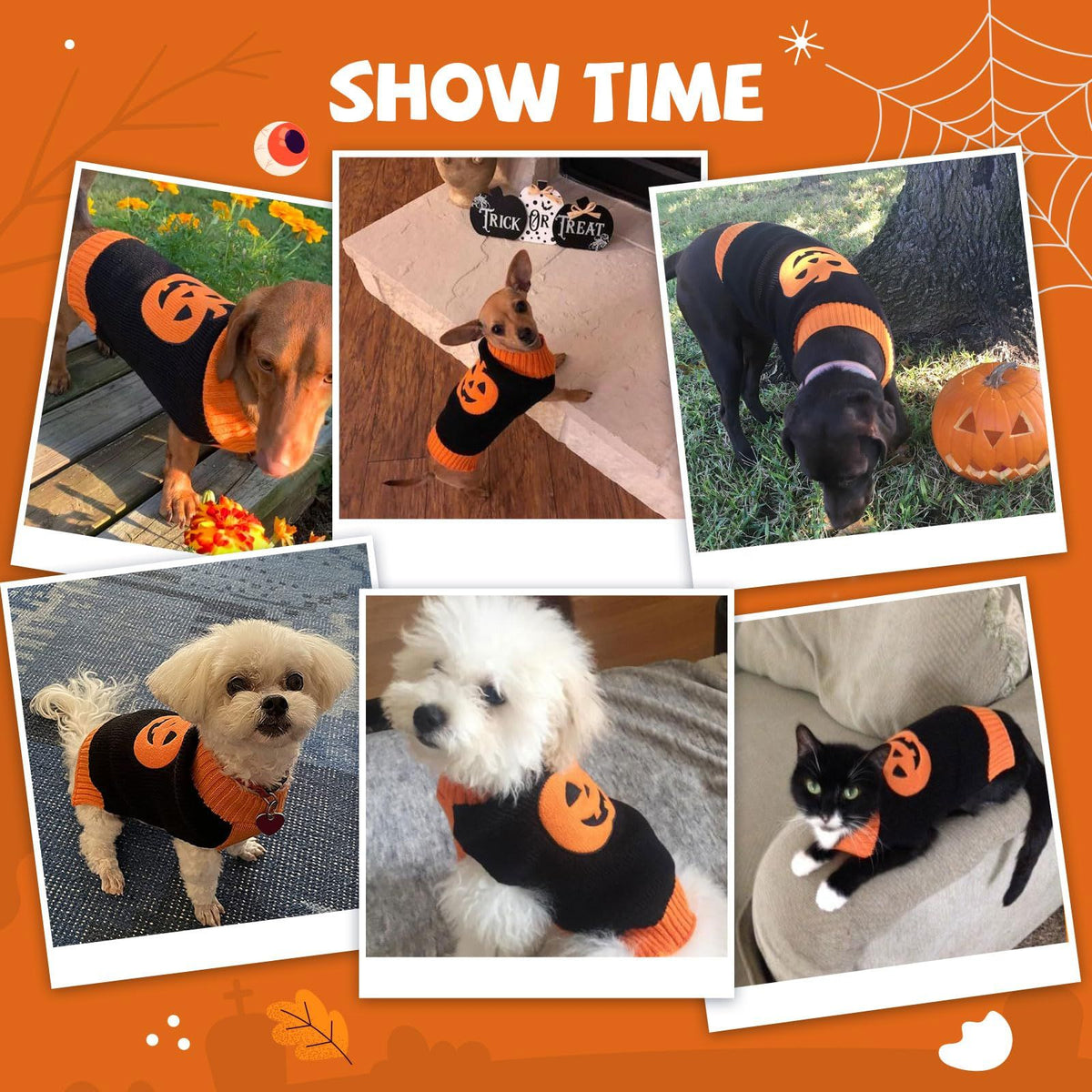 Dog Sweater Pumpkin Pet Sweaters Halloween Holiday Party for Cat and Puppy Small and medium-sized dog Teddy clothing(M)