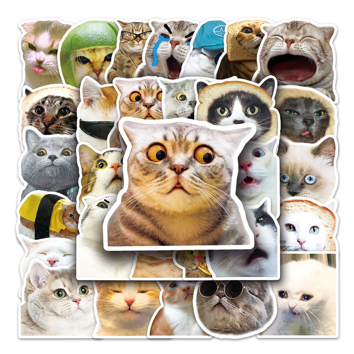 100 Pcs Cat Meme Stickers, Funny Cat Stickers, Cute Cat Stickers Funny Cat Meme, Cat Vinyl Waterproof Stickers for Adults, Teens