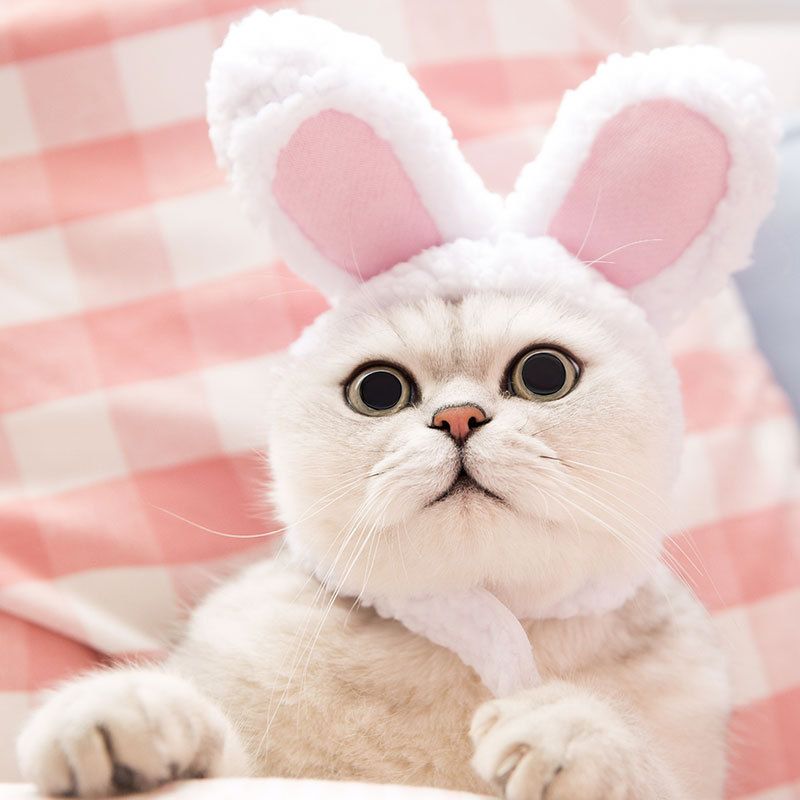 Cat Easter Cute Costume Pet Bunny Rabbit Hat with Ears for Cats Small Dogs Puppy Easter Party Costume Accessory Headwear
