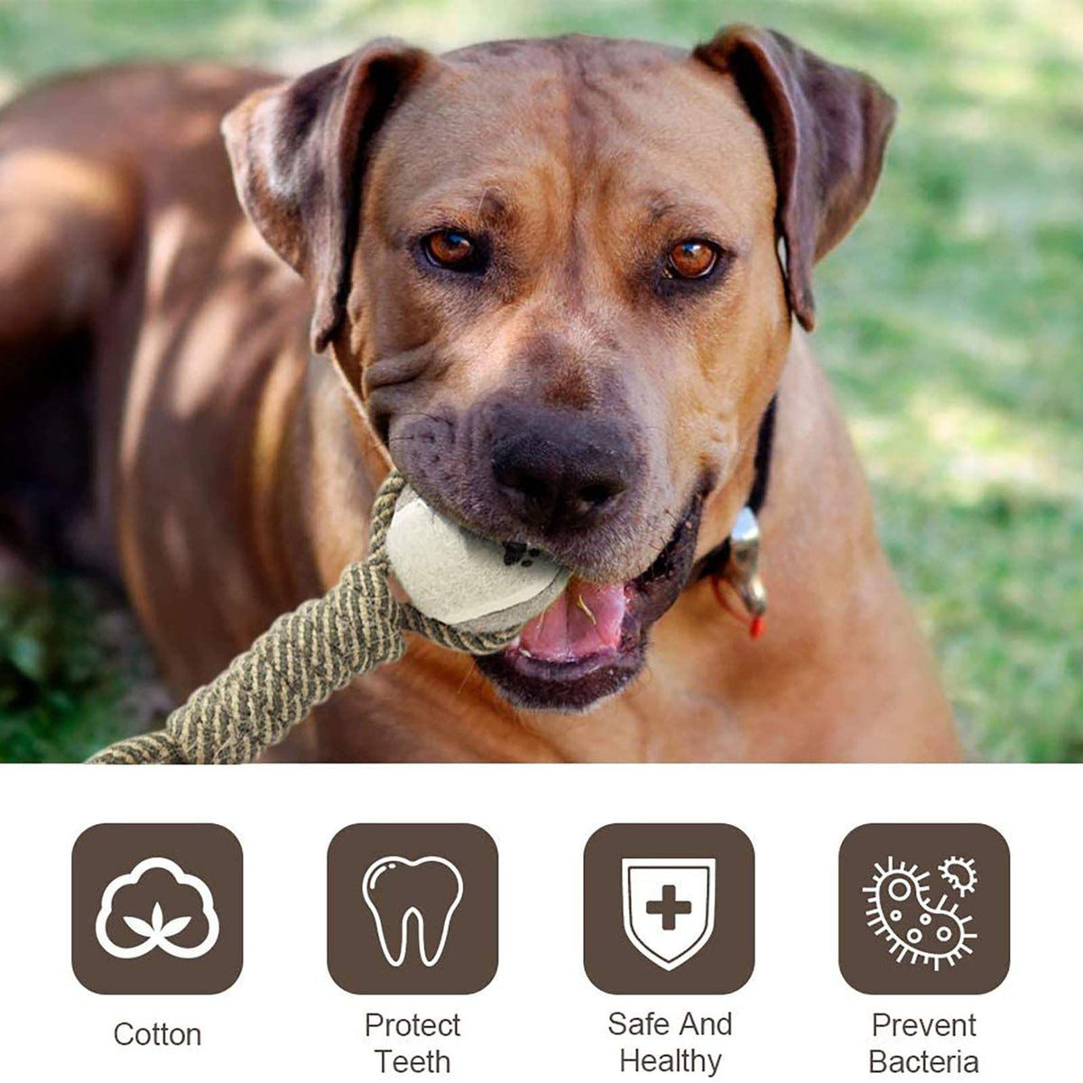 Durable Dog CHEW Toy for Medium to Large Dogs, Interactive Dumbbell Shaped Knot Rope Combination, Aggressive Dog Rope Toy
