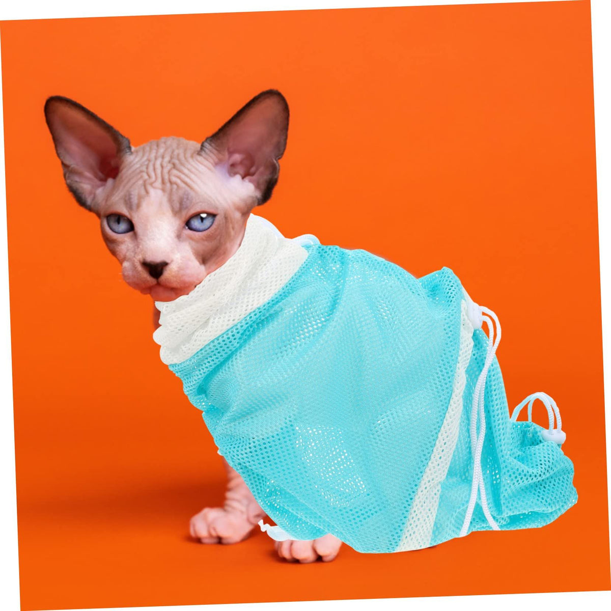 Shower Bag Wear-Resistant Cat Washing Bag Grooming Bag -bite Cat Bag Kitten Nail Fixed Bag Polyester Third Generation