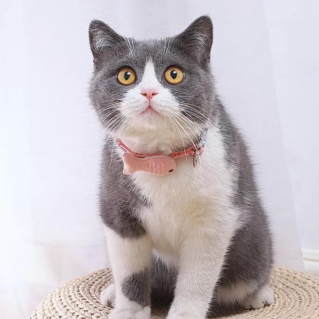 Adjustable Plaid Embroidered Cat and Dog Collar, Soft Padding, Stylish Design,Pet Cat Collar (Pink)