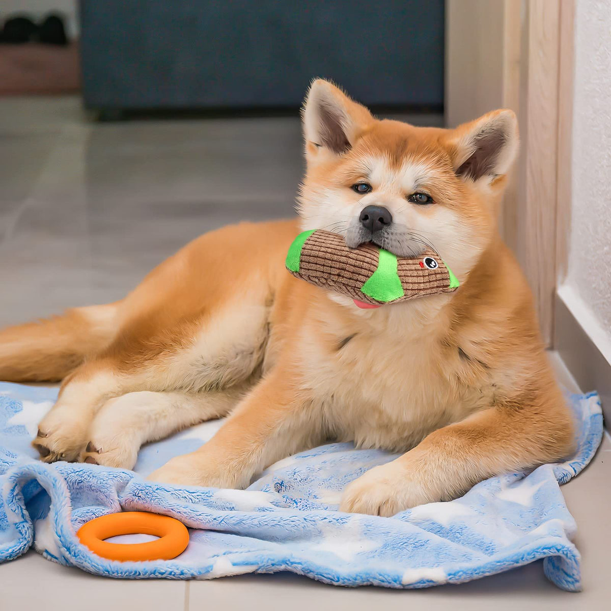 Squeaky Toys Plush Chew Toys for Dogs Animal Stuffed Toys for Dogs Cotton Animals Dog Toys Sock Shape Design Toy