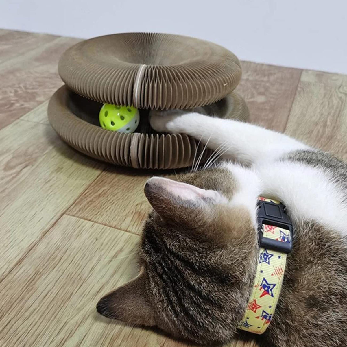 Magic Organ Cat Scratching Board Comes with a Toy Bell Ball, Cat Grinding Claw Scratching Board, Interactive Scratcher Cat Toy