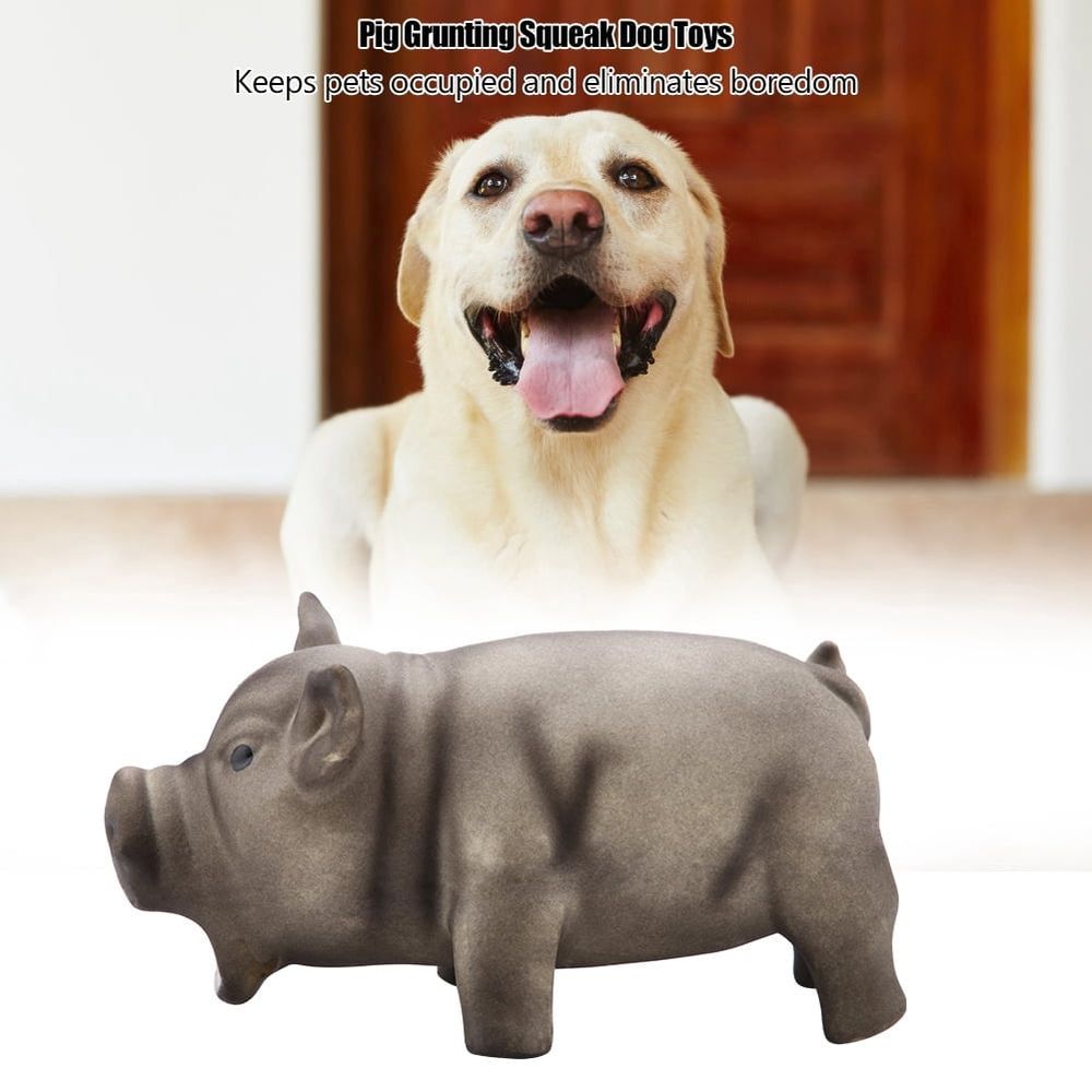 Cute Pig Grunting Squeak Latex Pet Chew Toys for Dog Puppy Toy(Black)