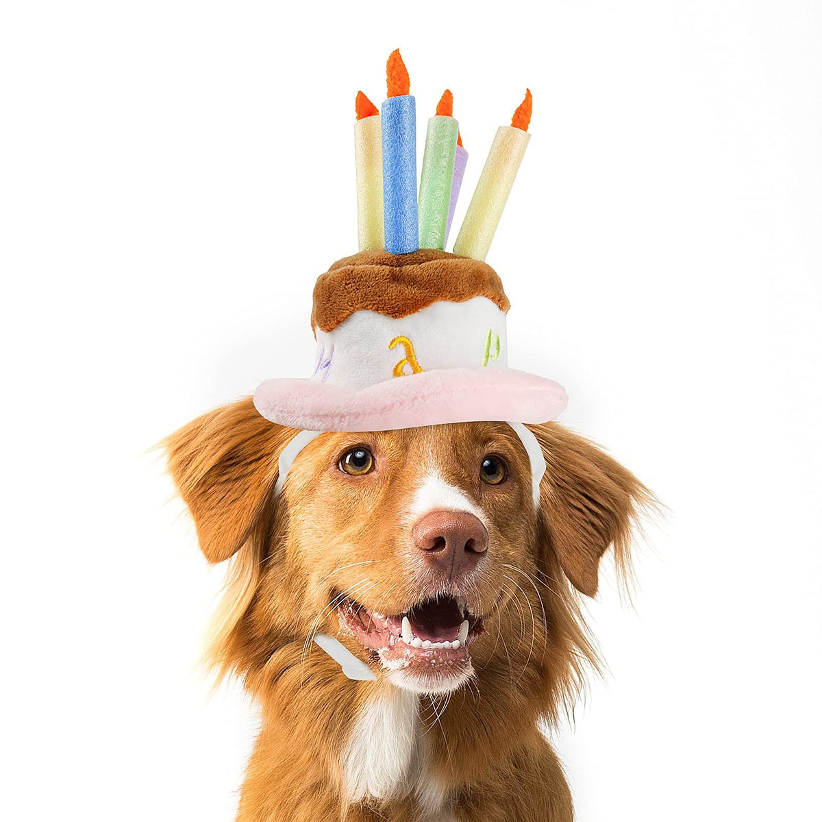 Dog Birthday Hat, Pet Birthday Cake Hat with Candle for Dog Cat Party Costume, Pink Large Soft and comfortable short plush material