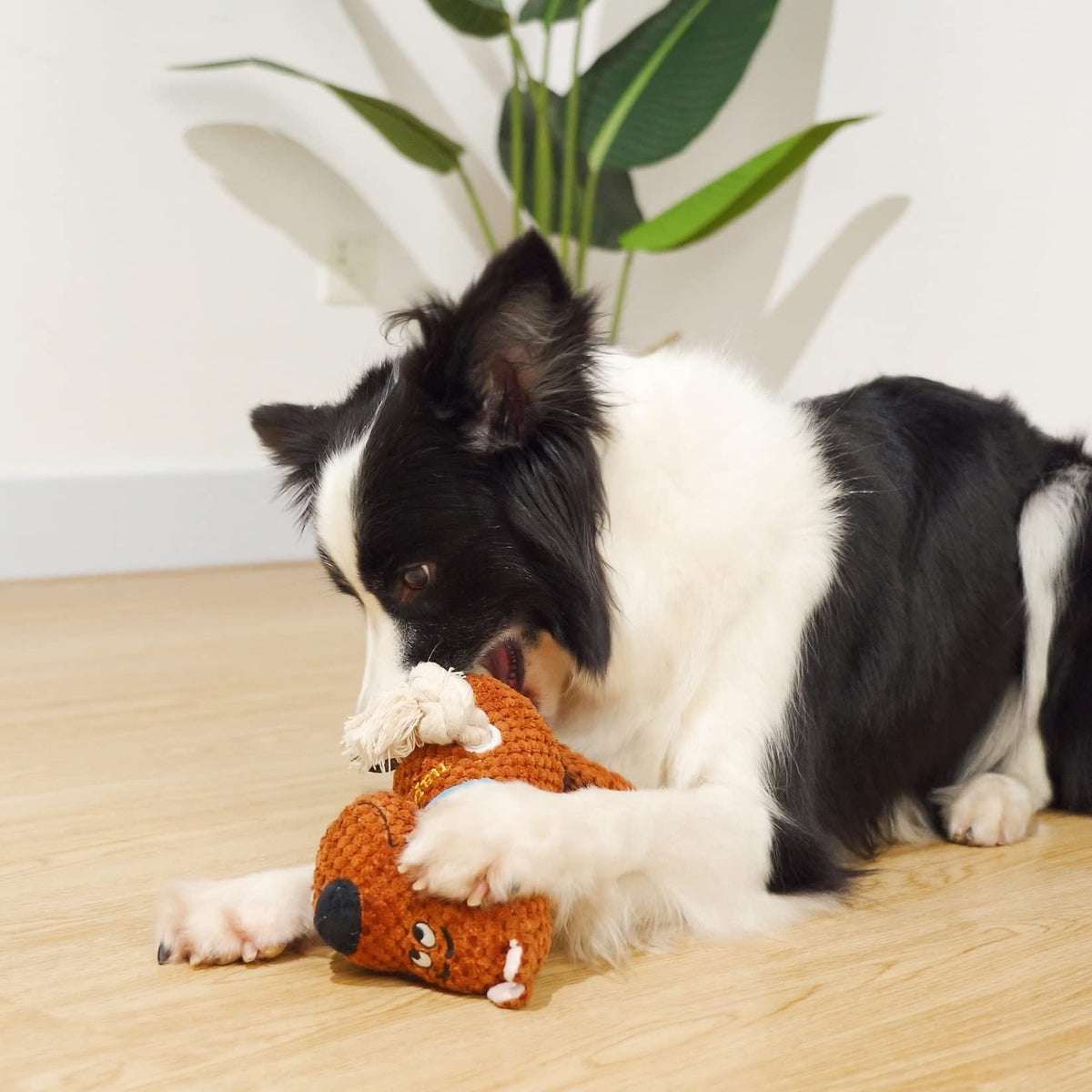 Dog Toys, Stuffed Dog Toys for Medium Large Dogs Boredom, Squeaky Dog Chew Toy with Crinkle Paper, Outdoor Puppy Toys