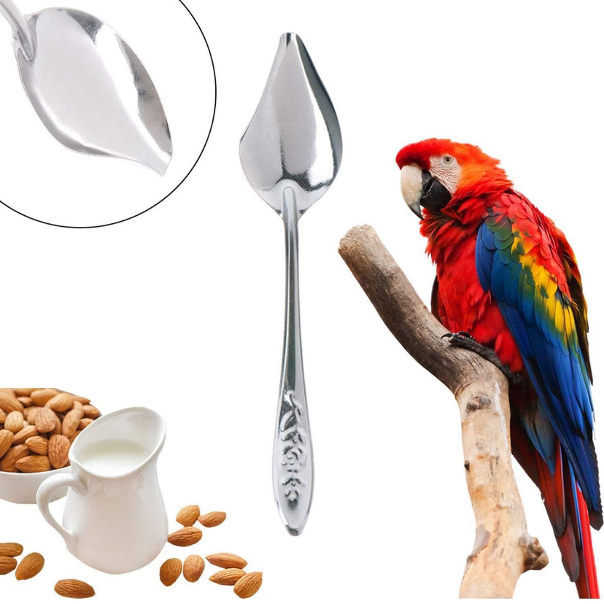 Bird Feeder Spoons Stainless Steel Milk Medicine Parrot Feeding Scoops Hand Feeding Spoons for Peony Cockatiel Parrot