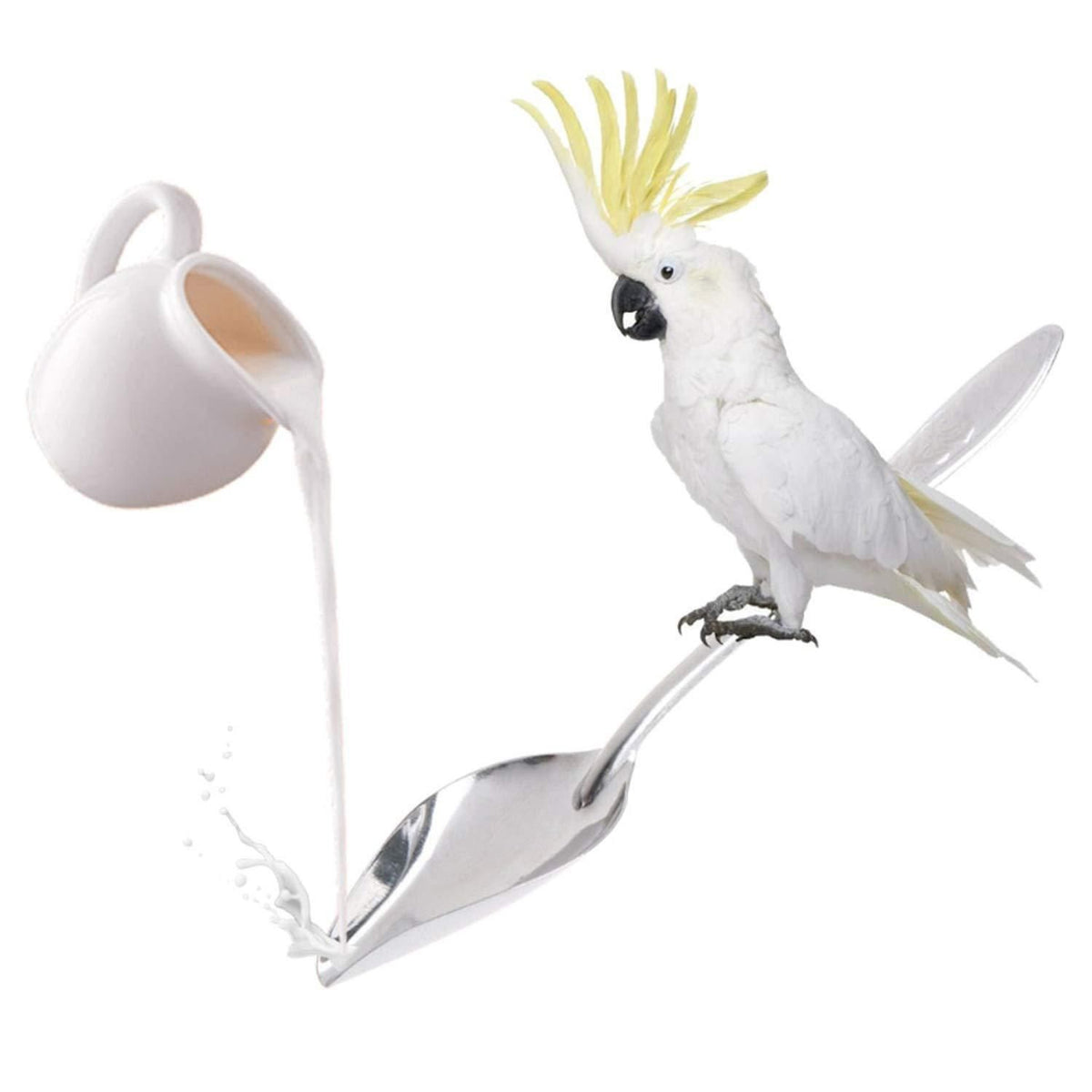 Bird Feeder Spoons Stainless Steel Milk Medicine Parrot Feeding Scoops Hand Feeding Spoons for Peony Cockatiel Parrot