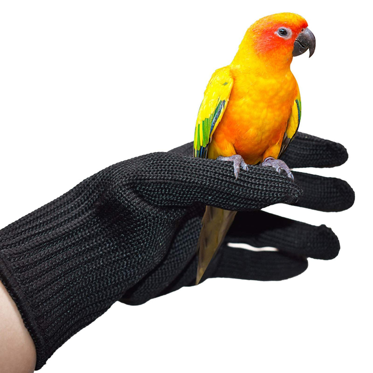 Petyoung Bird Training Anti-Bite Gloves, Small Animals Handling Gloves Chewing Protective Gloves  Protective Handling Gloves