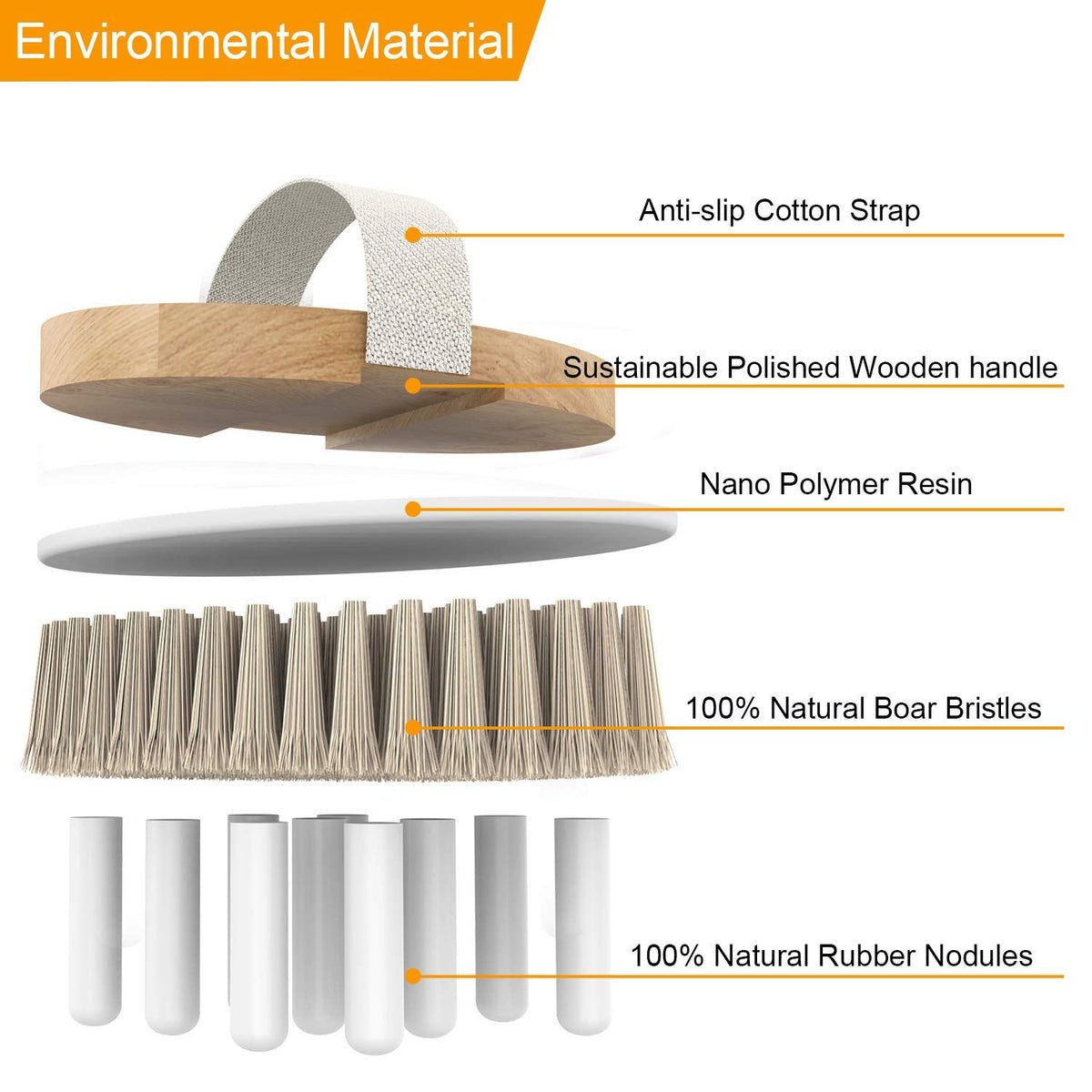Dry Brushing Body Brush Bath Brush， Natural Bristle Gentle Exfoliating for Softer，Gentle Massage Nodes for Treatment
