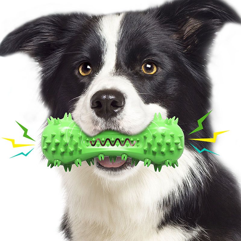 Dog Toy, Toothbrush Dogs Chew Squeaky Toys, Durable Bones for Aggressive Chewers, Dental Oral Care for Small