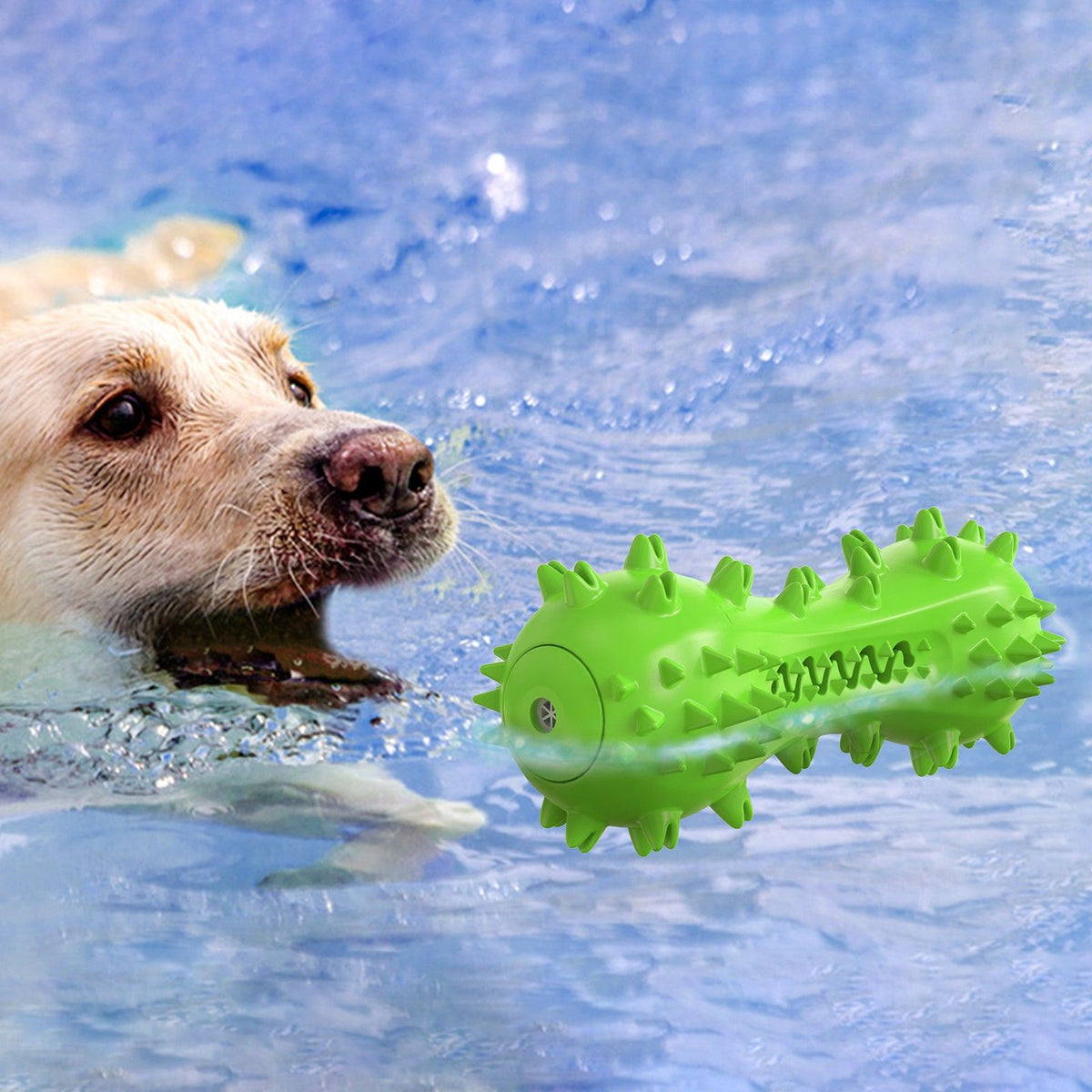 Dog Toy, Toothbrush Dogs Chew Squeaky Toys, Durable Bones for Aggressive Chewers, Dental Oral Care for Small