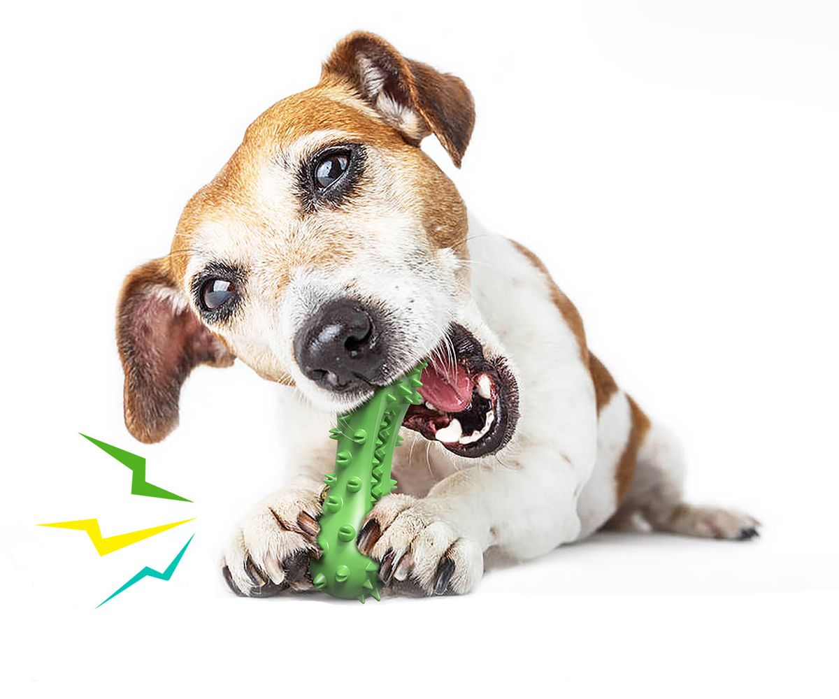 Dog Toy, Toothbrush Dogs Chew Squeaky Toys, Durable Bones for Aggressive Chewers, Dental Oral Care for Small