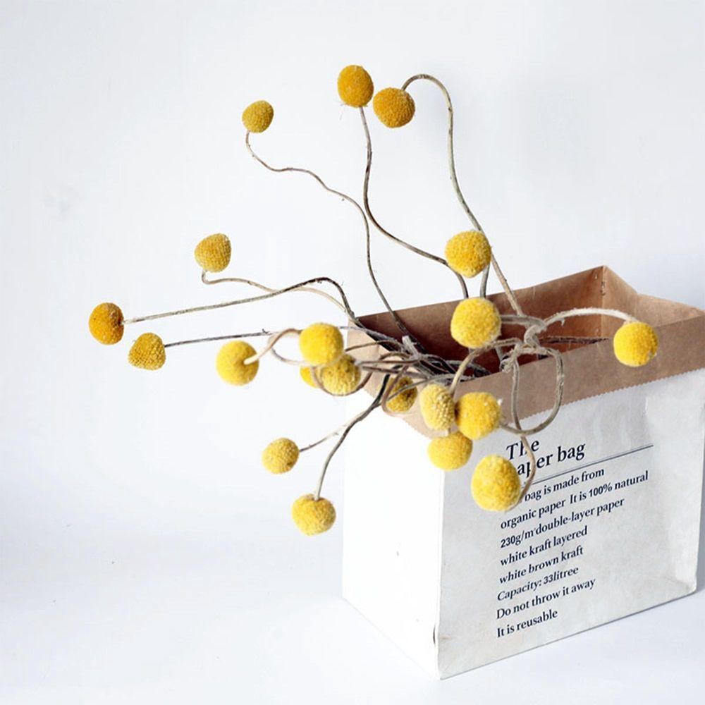 60 Stems Diameter Natural Craspedia Dried Flowers, 16inch Billy Buttons Balls Bouquet Bundles Natural Dried Flowers for DIY Flower Arrangements Home Decor, Yellow