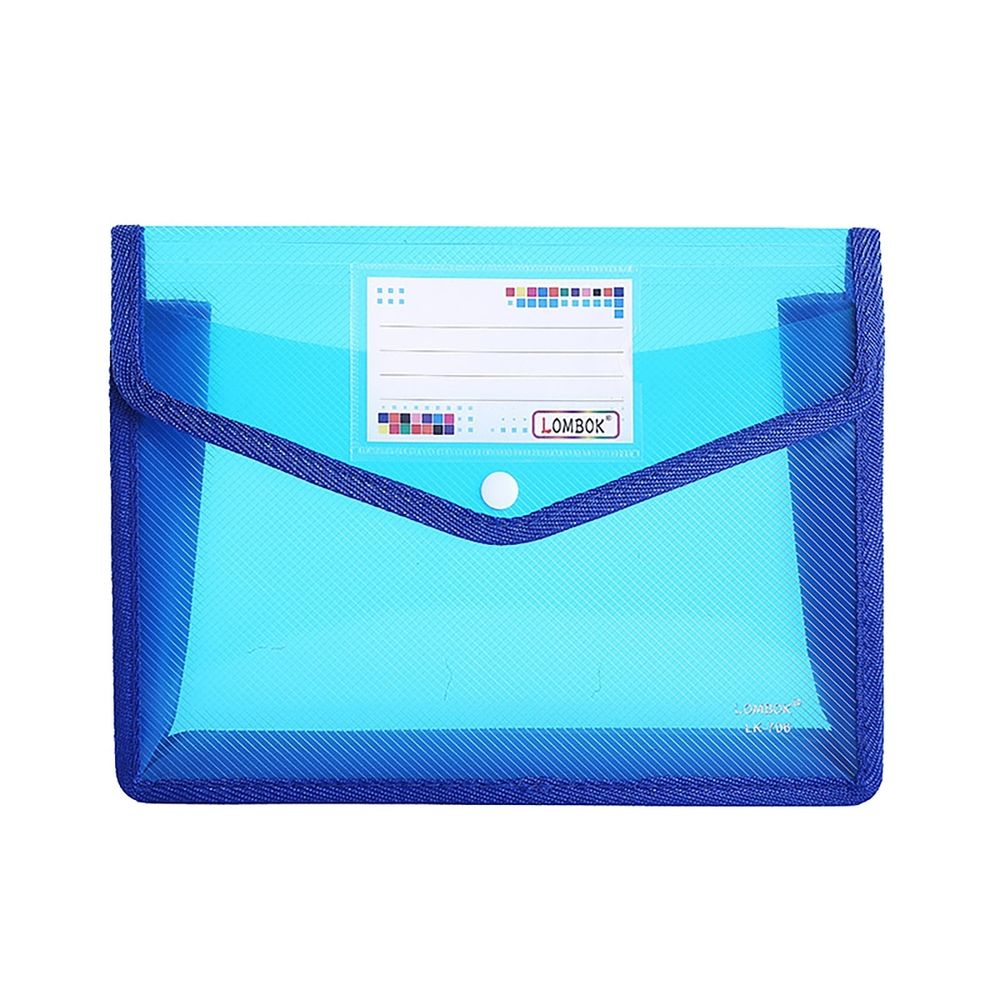 Plastic File Folders A4 Size 2PCS Expandable Document Folder Plastic Envelope Expanding File Wallet Organizer Documents Folder with Snap Closure and Pocket,Waterproof Transparent Pouch \ufeff