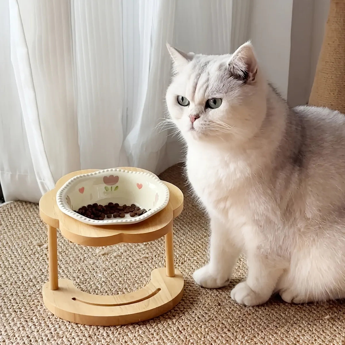 Ceramic Pet Feeder with Wood Stand | Tilted Cat Bowl for Comfortable Eating, Anti-Tip Design（Zhu Dian ai Xin wan）