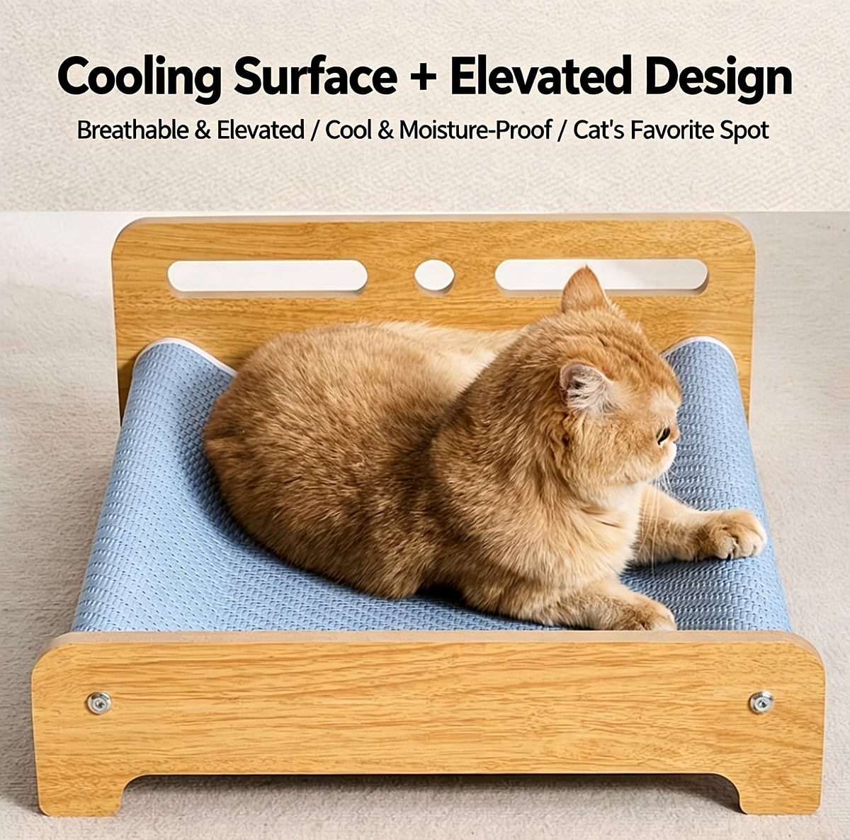 Cat Bed with Rattan Mat